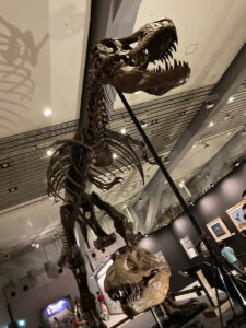 大阪ティラノサウルス展2021の様子