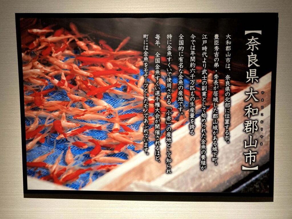 奈良金魚ミュージアム